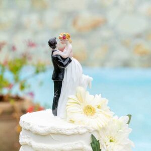 sposi torta di nozze